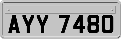 AYY7480