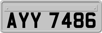 AYY7486
