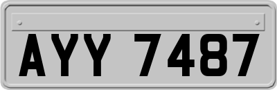 AYY7487