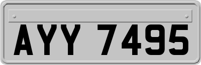 AYY7495