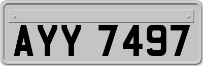 AYY7497