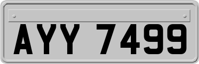 AYY7499