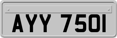 AYY7501