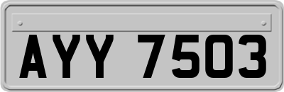 AYY7503