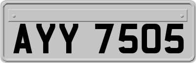 AYY7505