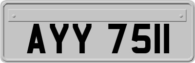 AYY7511