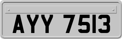 AYY7513