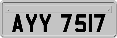 AYY7517