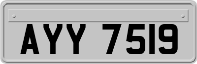 AYY7519