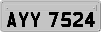 AYY7524