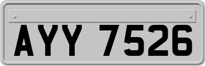 AYY7526