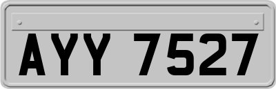 AYY7527