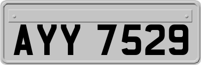 AYY7529