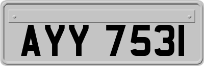 AYY7531
