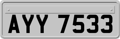 AYY7533