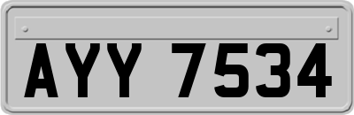 AYY7534