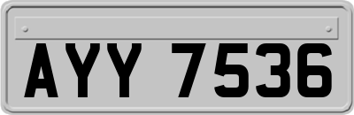 AYY7536