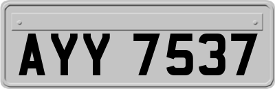 AYY7537