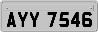 AYY7546