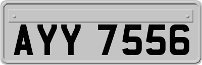 AYY7556
