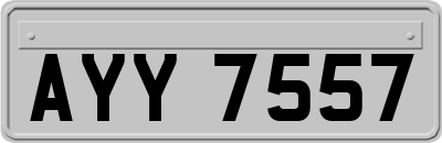 AYY7557