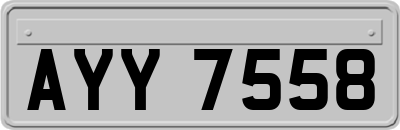 AYY7558