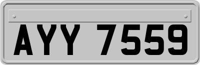 AYY7559