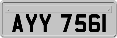 AYY7561