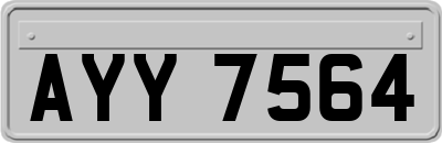 AYY7564
