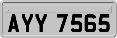 AYY7565