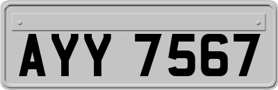 AYY7567