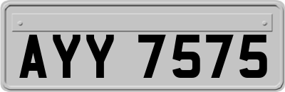AYY7575