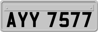 AYY7577