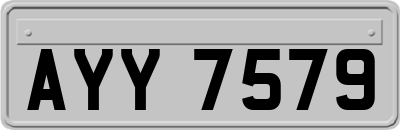 AYY7579