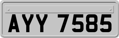 AYY7585