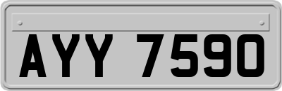 AYY7590