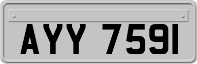 AYY7591