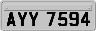 AYY7594