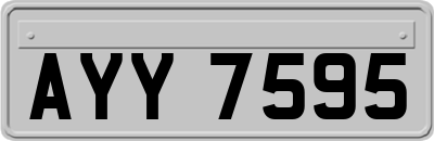 AYY7595