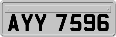 AYY7596