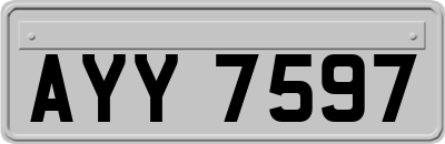 AYY7597