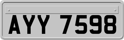AYY7598