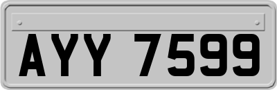 AYY7599