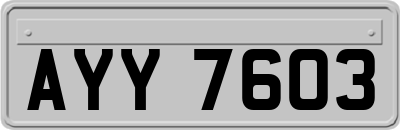 AYY7603