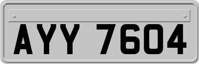 AYY7604
