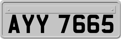 AYY7665