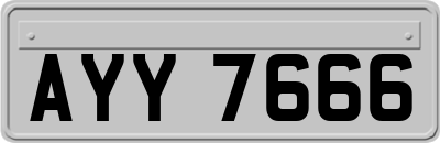 AYY7666