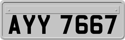 AYY7667