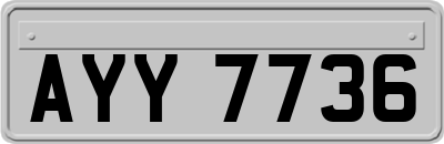 AYY7736