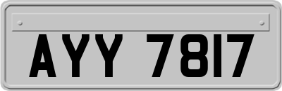 AYY7817
